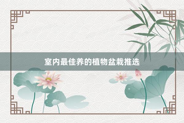 室内最佳养的植物盆栽推选