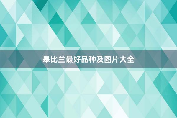 皋比兰最好品种及图片大全