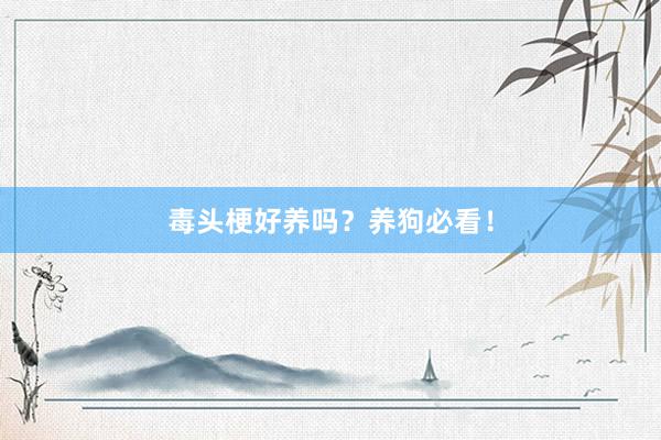 毒头梗好养吗？养狗必看！