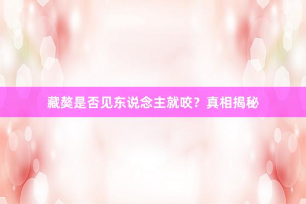 藏獒是否见东说念主就咬？真相揭秘