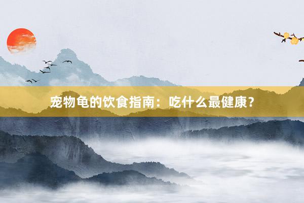 宠物龟的饮食指南：吃什么最健康？